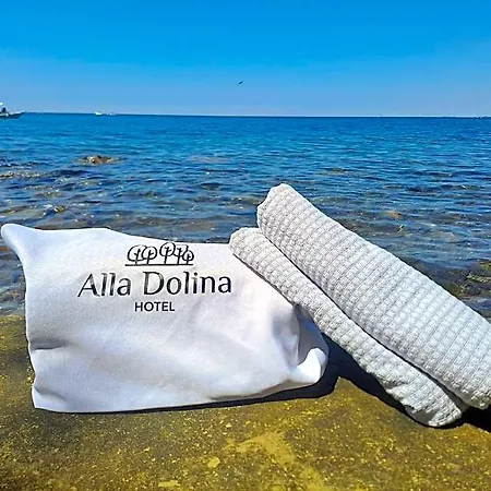 호텔 Dolina